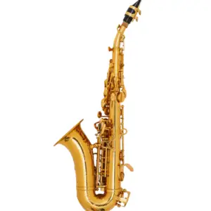 ADI SP801LC SOPRANO SAX CURVED GOLD LACQUER