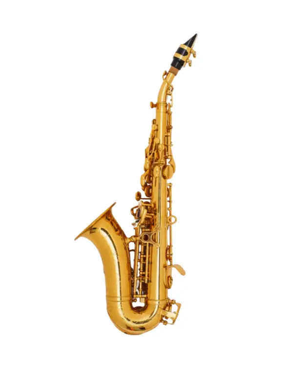 ADI SP801LC SOPRANO SAX CURVED GOLD LACQUER - Image 2