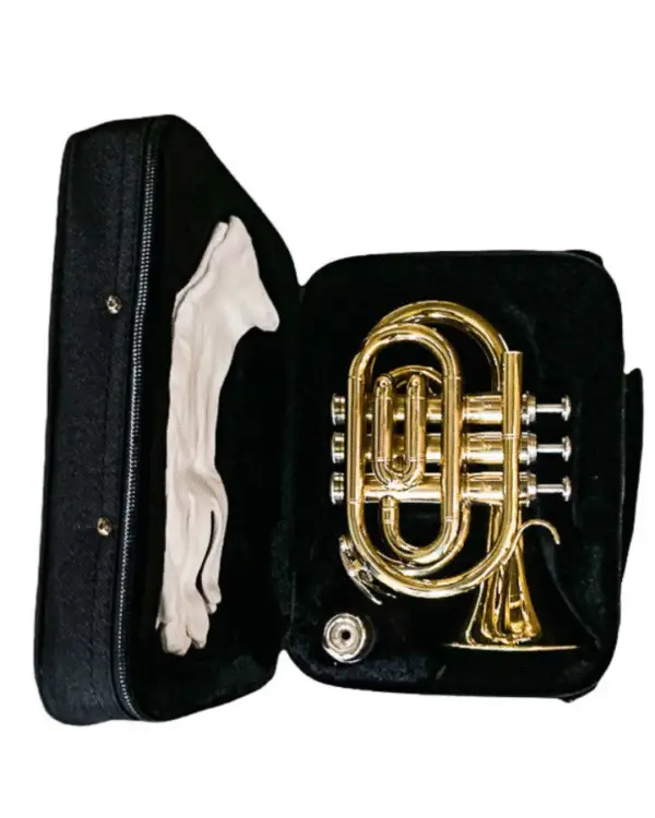 ADI PT 809L POCKET TRUMPET, Bb KEY, GOLD LACQUER - Image 2