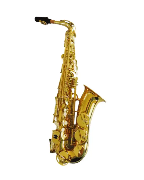 ADI 6434L SOPRANO SAX CURVED GOLDEN LACQUER - Image 3