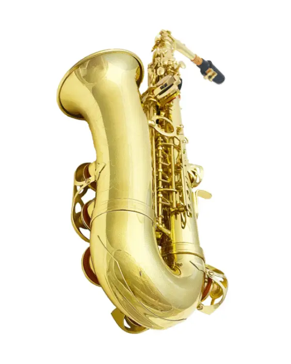 ADI 6430L ALTO SAX GOLDEN LACQUER - Image 5