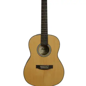 ADI AG3610 ACOUSTIC GUITAR