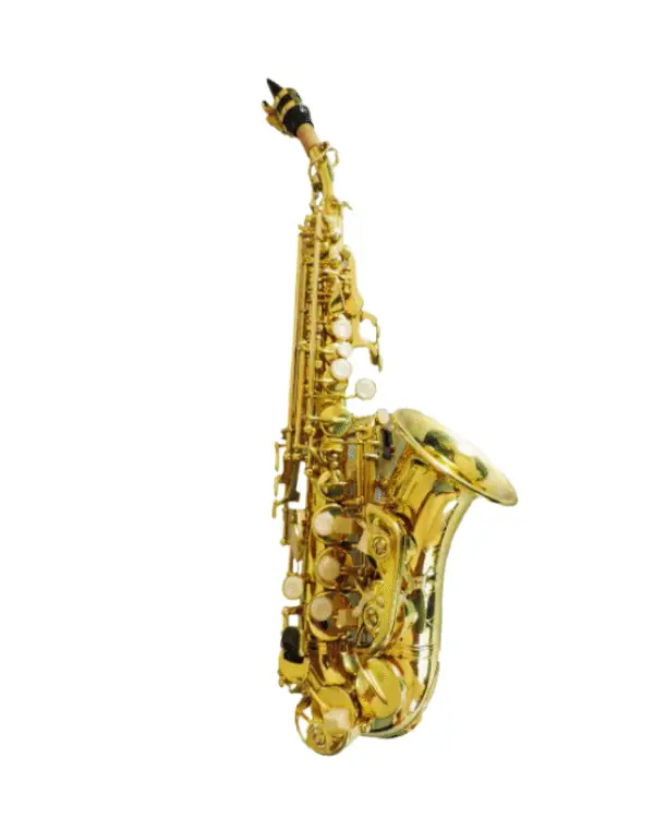 ADI 6434L SOPRANO SAX CURVED GOLDEN LACQUER - Image 2
