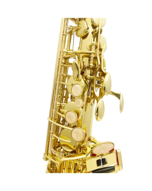 ADI 6430L ALTO SAX GOLDEN LACQUER - Image 4