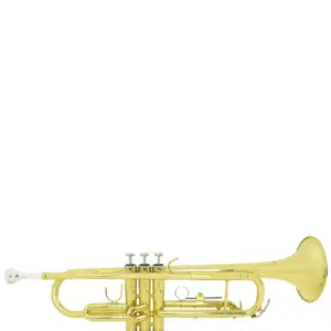 ADI TP 807 L TRUMPET – BB KEY GOLD LACQUER STAINLESS STEEL VALVE