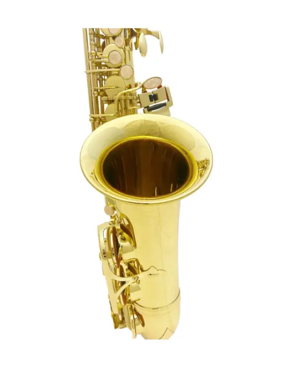 ADI 6430L ALTO SAX GOLDEN LACQUER - Image 3