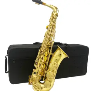 ADI 6430L ALTO SAX GOLDEN LACQUER