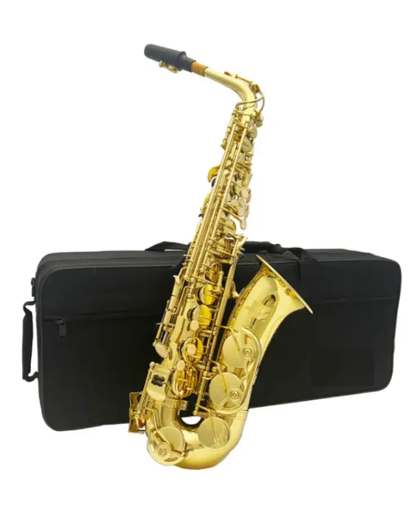 ADI 6430L ALTO SAX GOLDEN LACQUER - Image 2