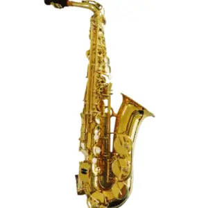 ADI 6434L SOPRANO SAX CURVED GOLDEN LACQUER