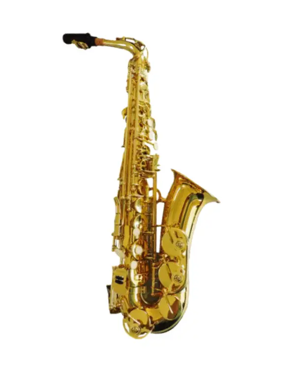ADI 6434L SOPRANO SAX CURVED GOLDEN LACQUER