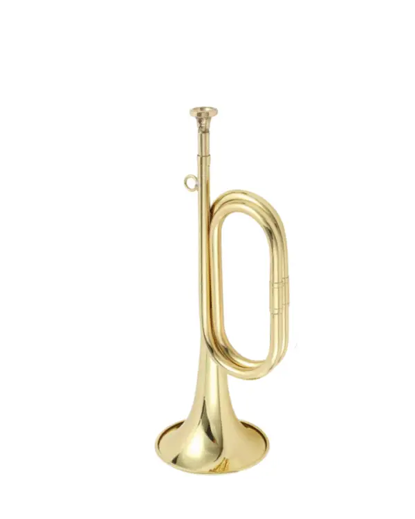 ADI 6485 BUGLE (small)